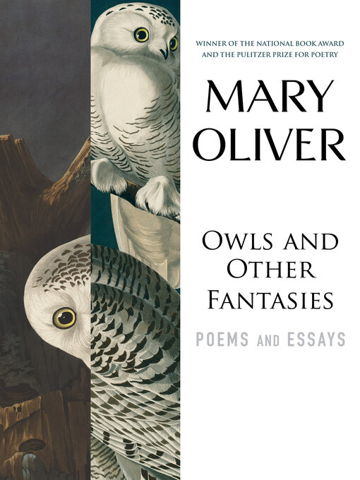 Title details for Owls and Other Fantasies by Mary Oliver - Available